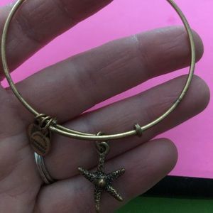 Alex n Ani